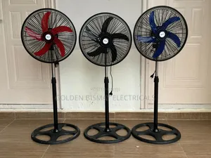 Bray Standing Fan