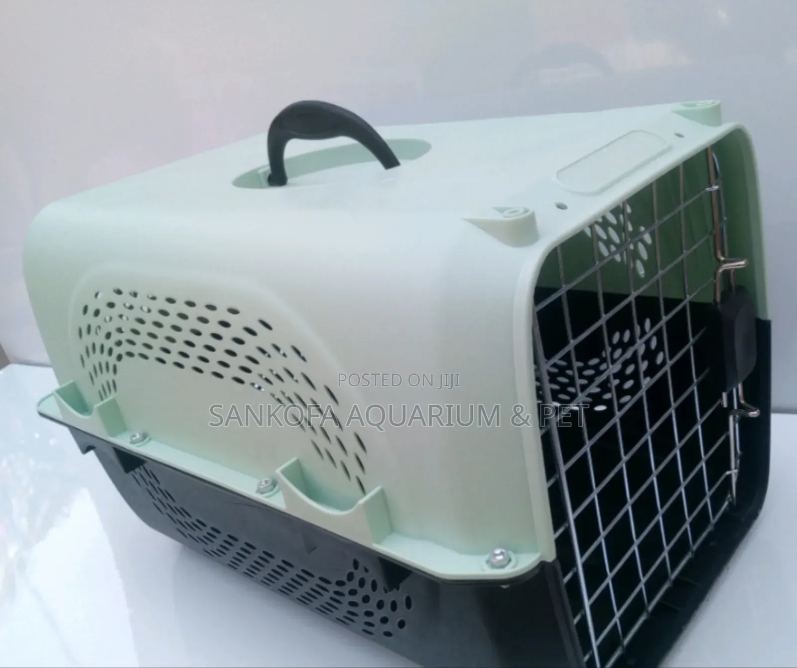 Super Transporting Dog Create