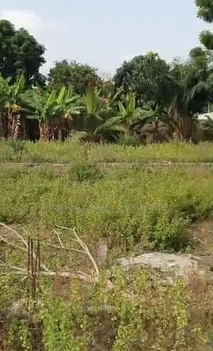 3 Plots of Land on the Mallam Kasoa Main Road for Sale