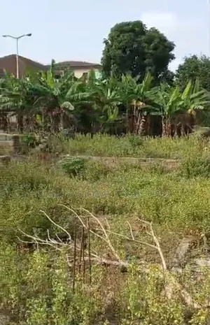 3 Plots of Land on the Mallam Kasoa Main Road for Sale