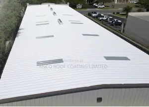 Siliconized Roof Coating Paint