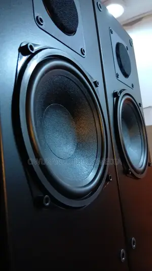 Elac El91 S Powerful 2-Way Passive Base Sound Spraker