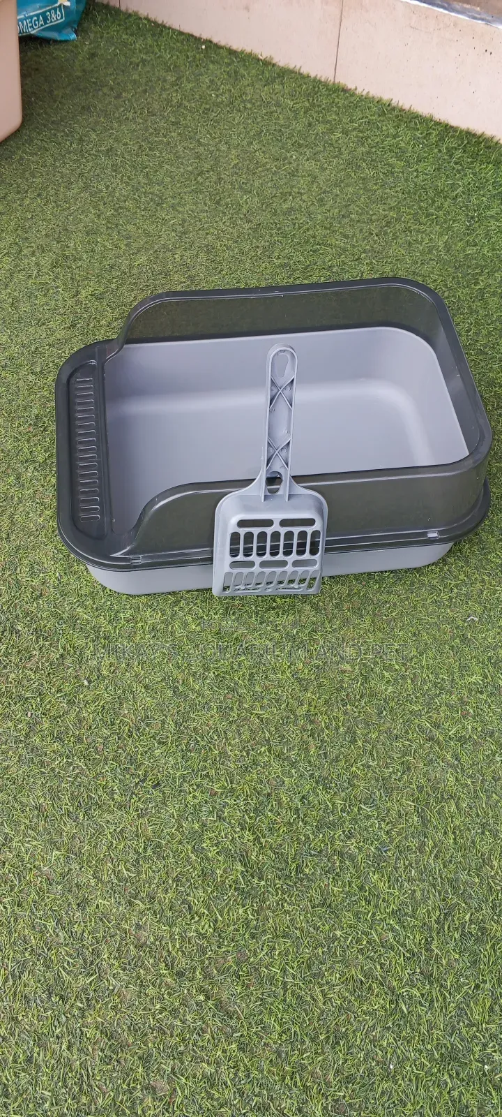 Cute Litter Box for Cats