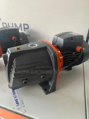 Transfer Water With Leo 1.5hp Cast Water Pump