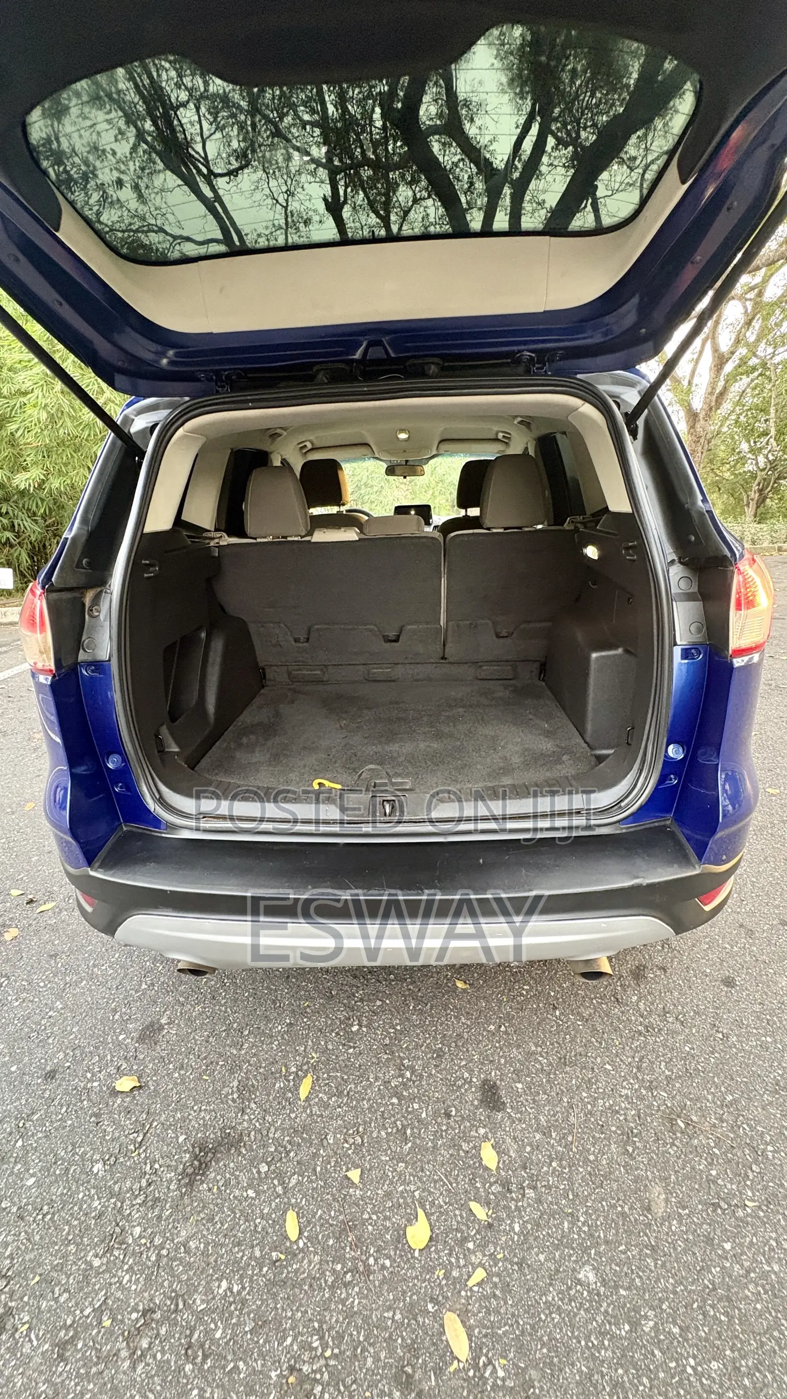 Ford Escape SE 4dr SUV AWD (1.6L 4cyl Turbo 6A) 2014 Blue
