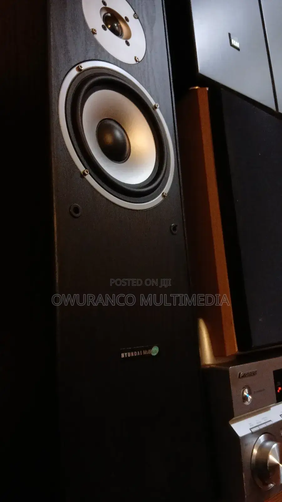 Hyundai L766 Multicav 1000watt Floor Standing