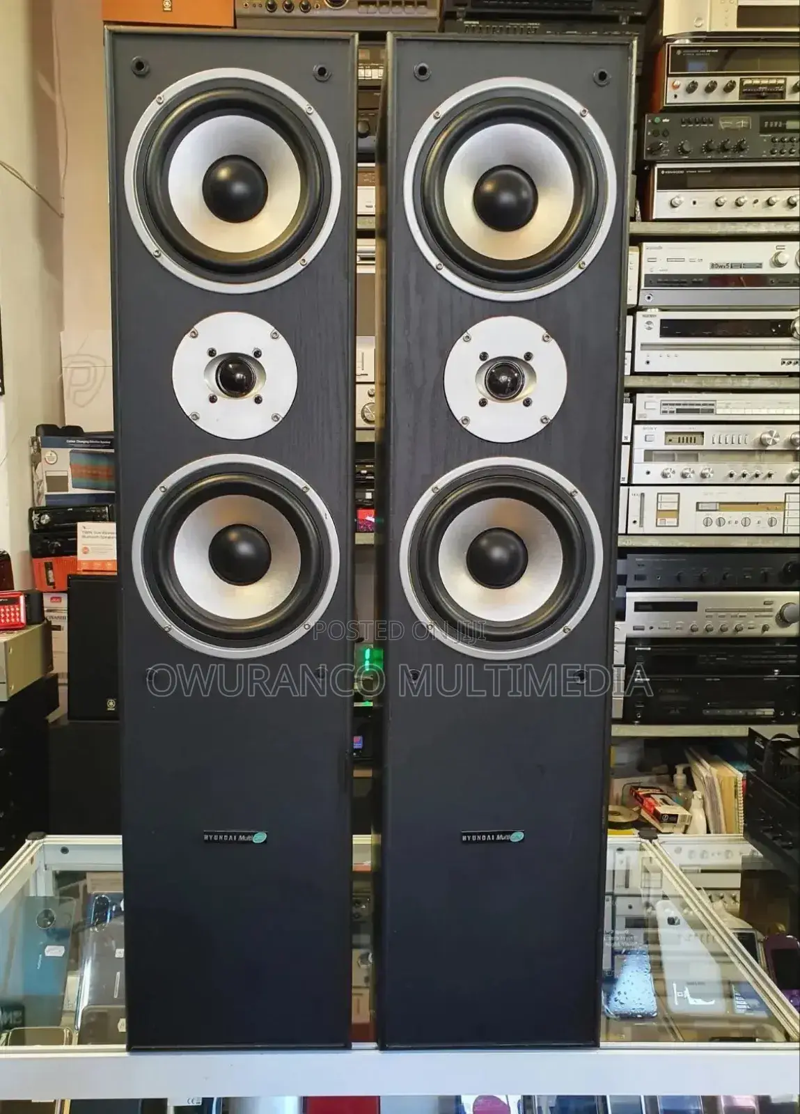 Hyundai L766 Multicav 1000watt Floor Standing