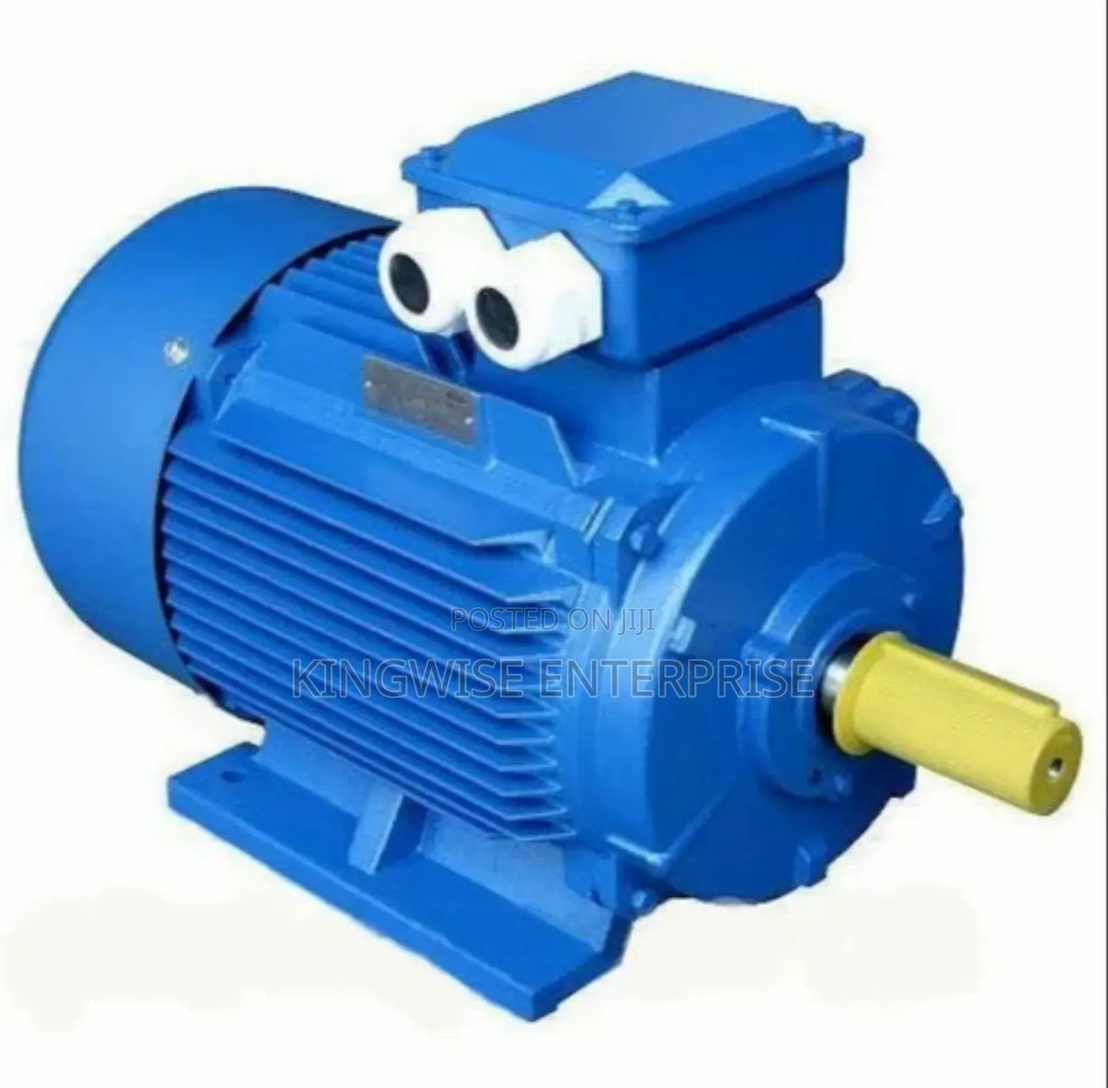 50hp Induction Motor