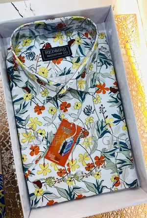 Men’S Short And Long Sleeve Shirt