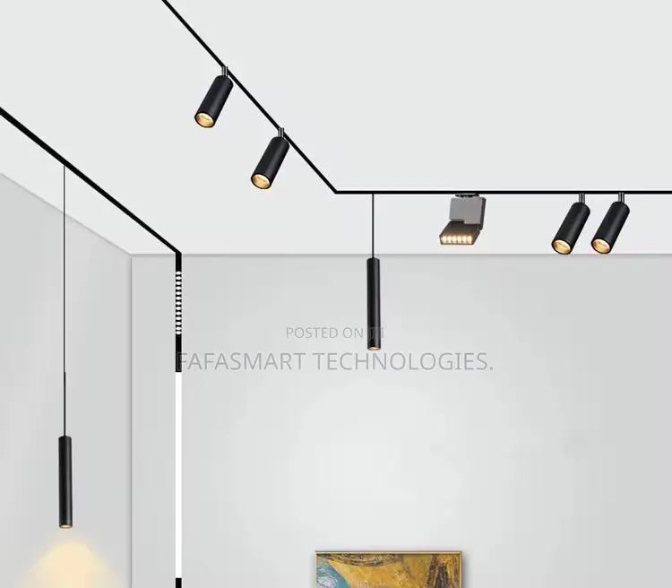 Magnetic Track Drop Light