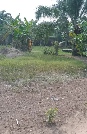0.51 Acres of Land for Sale in West Land. MSC