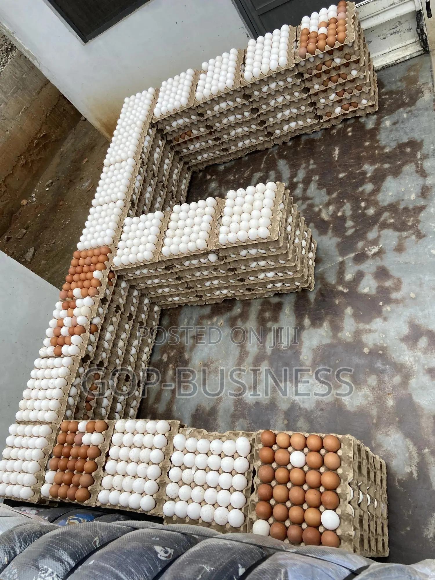 Fresh Organic Eggs