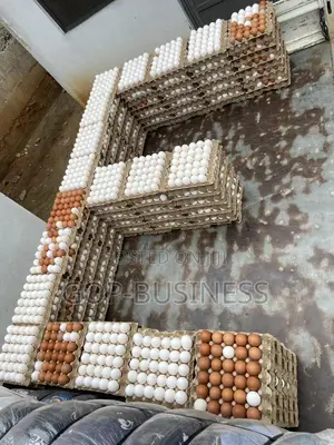 Fresh Organic Eggs