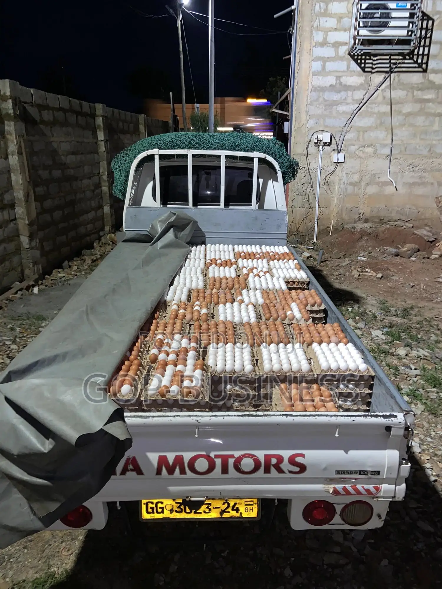 Fresh Organic Eggs