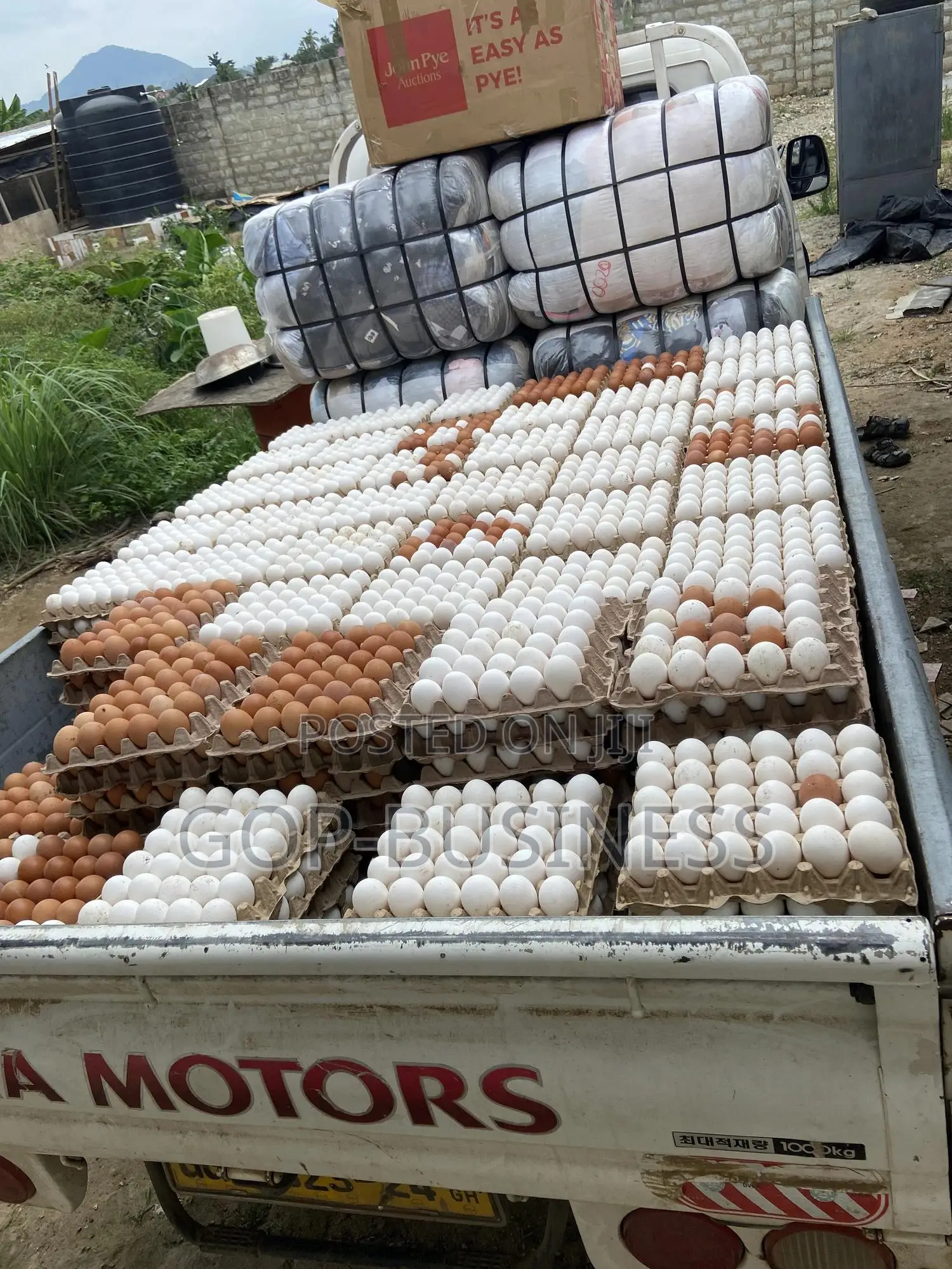 Fresh Organic Eggs