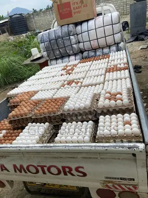 Fresh Organic Eggs