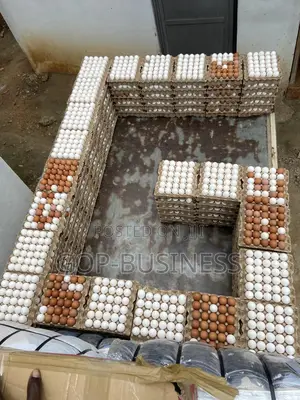 Fresh Organic Eggs