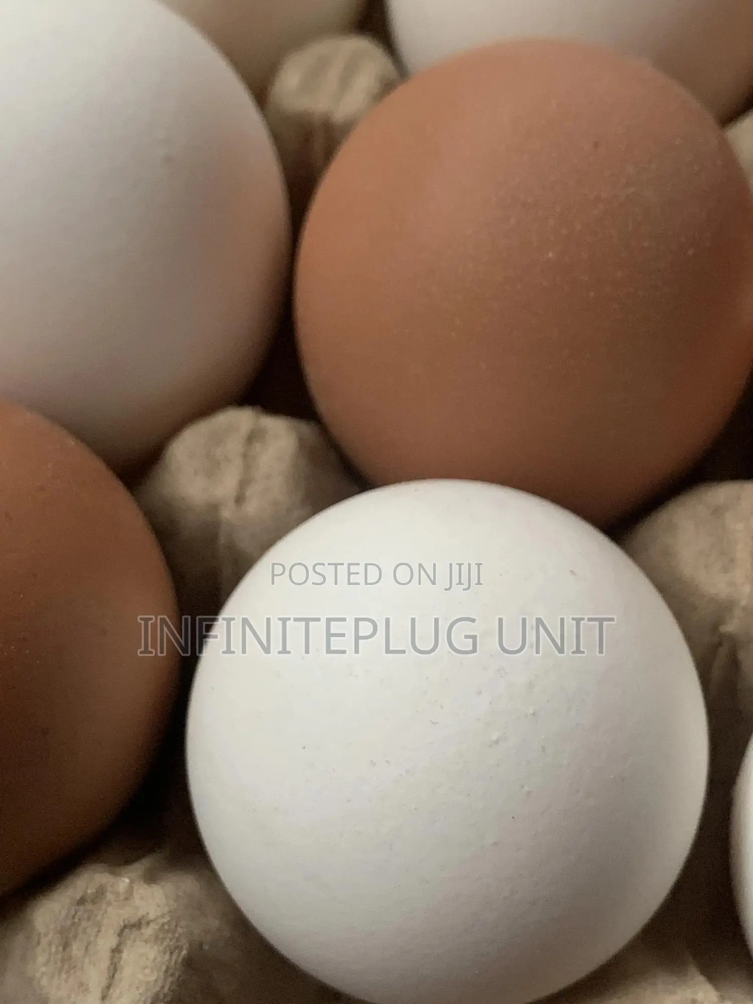 Fresh Eggs Available