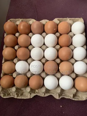 Fresh Eggs Available