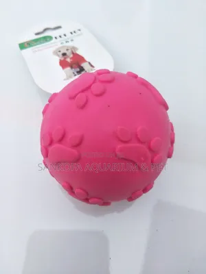 Dog Ball Play Toy