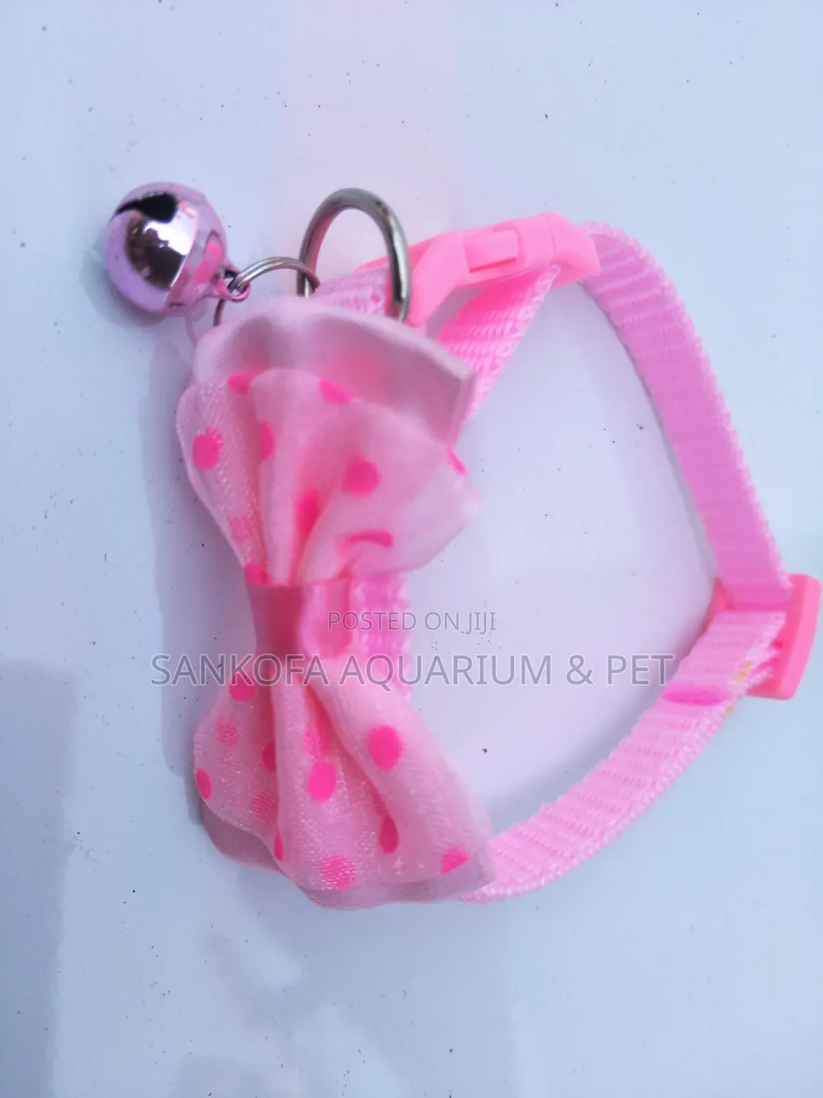 Quality Dog Collar