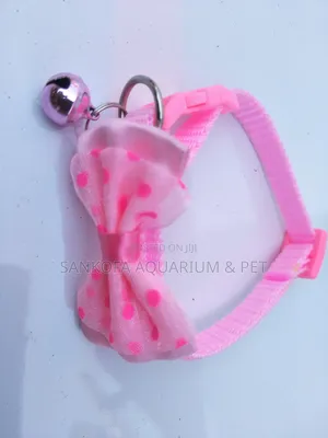 Quality Dog Collar