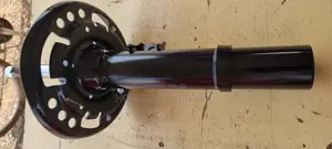 Shock Absorber - Honda Civic 2016- (Front, Pair)