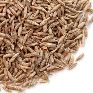 Fenugreek and Fennel