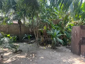 1plot Fence for Sale at Tseaddo Bushroad
