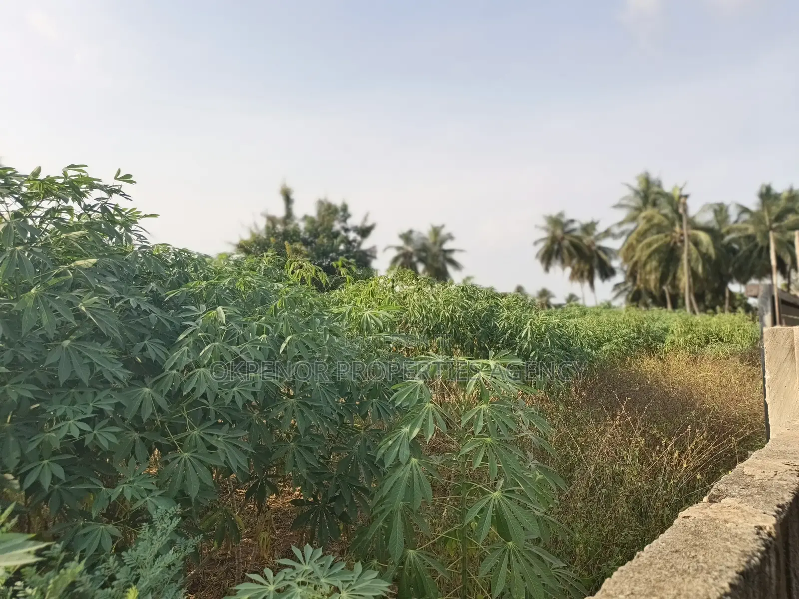 4plot Fence for Sale at Ada Junction