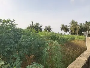 4plot Fence for Sale at Ada Junction