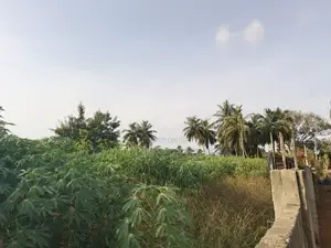 4plot Fence for Sale at Ada Junction