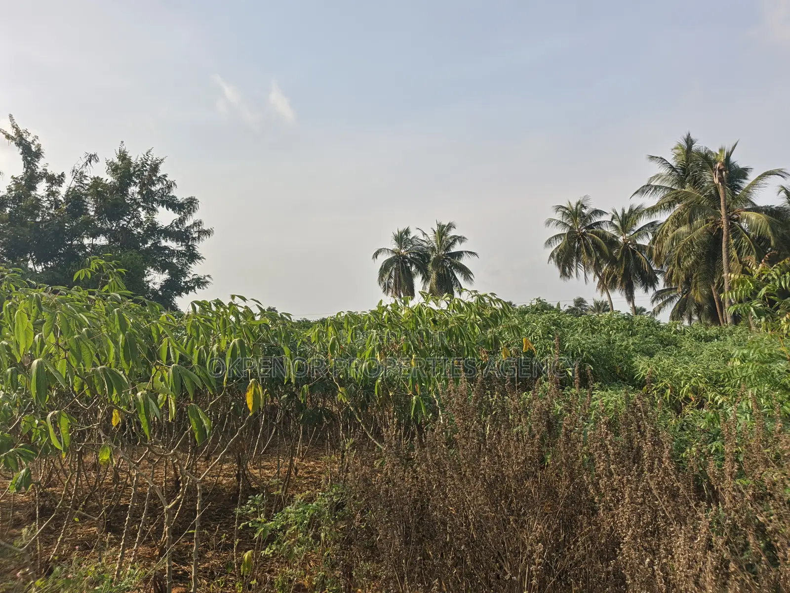 4plot Fence for Sale at Ada Junction