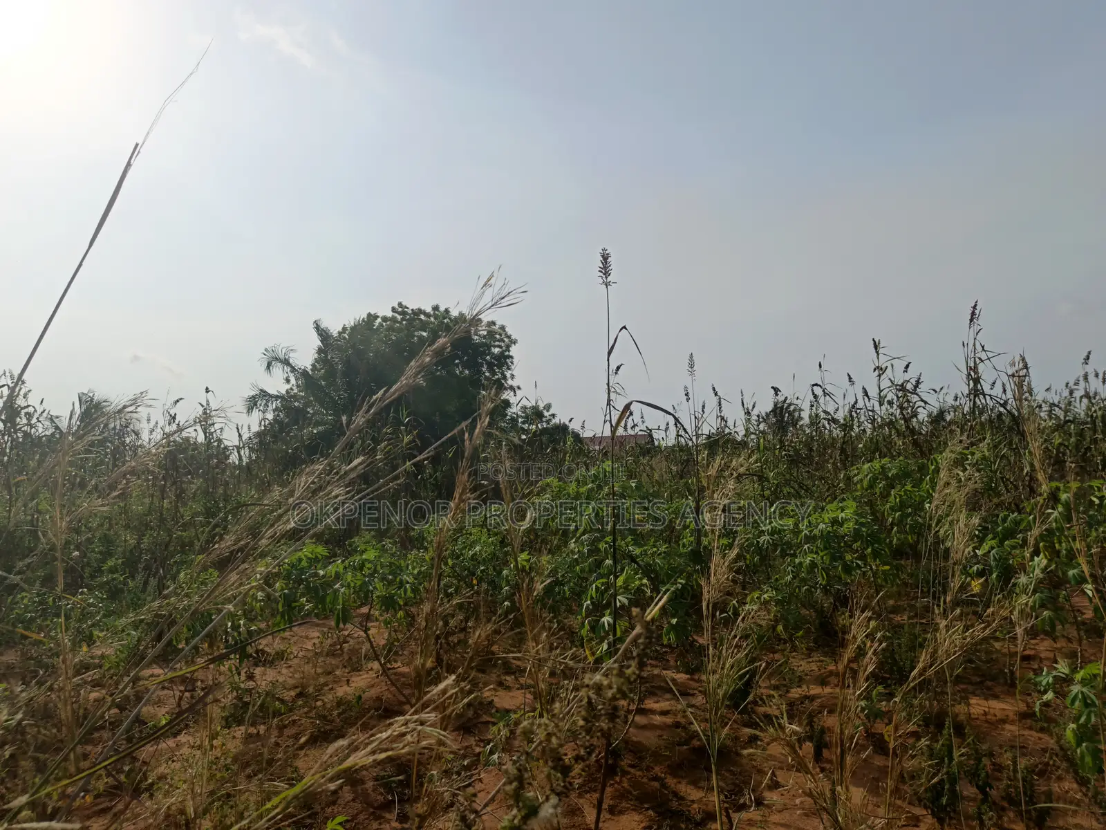 3plots Fence for Sale at Ada