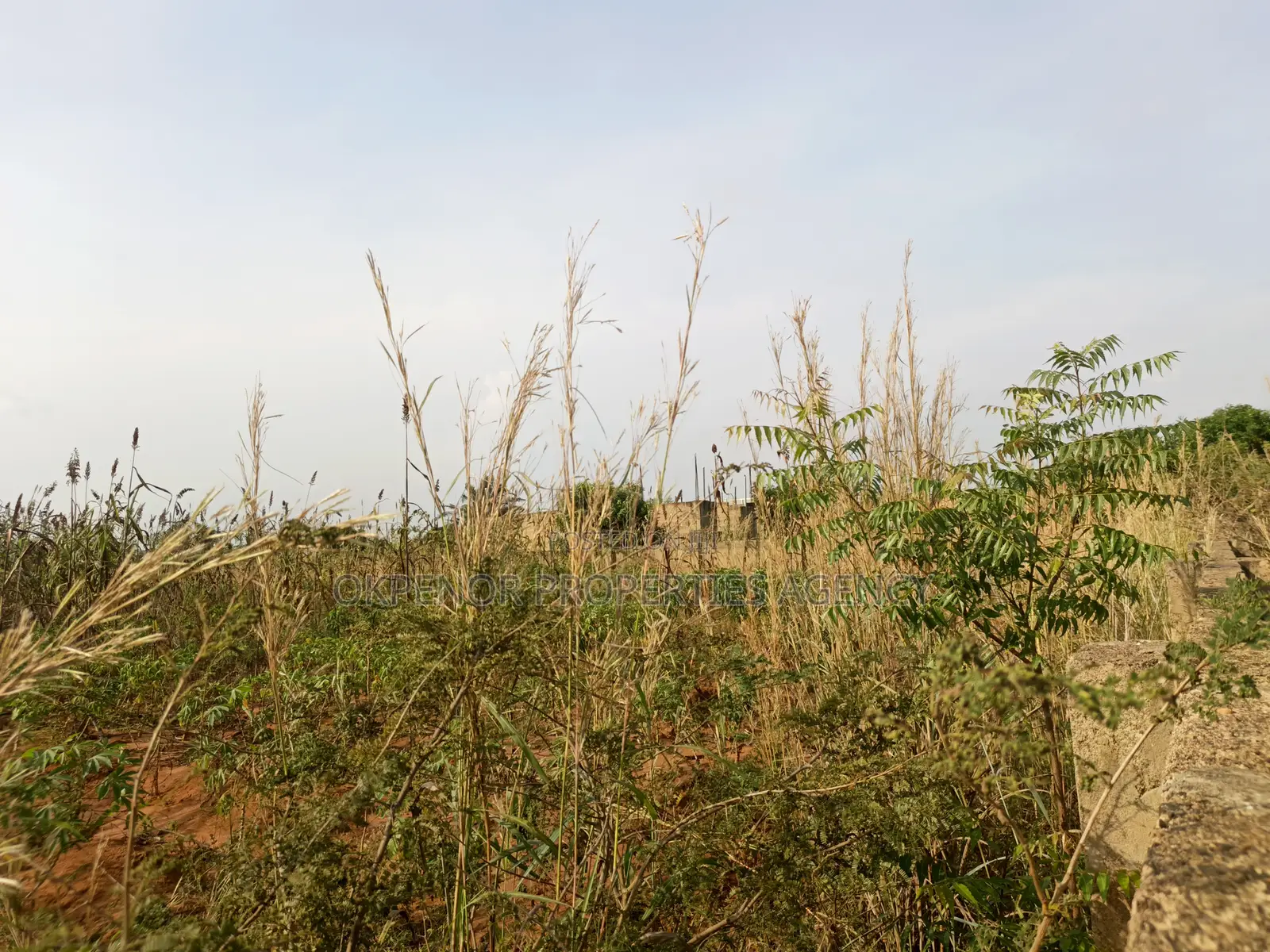 3plots Fence for Sale at Ada