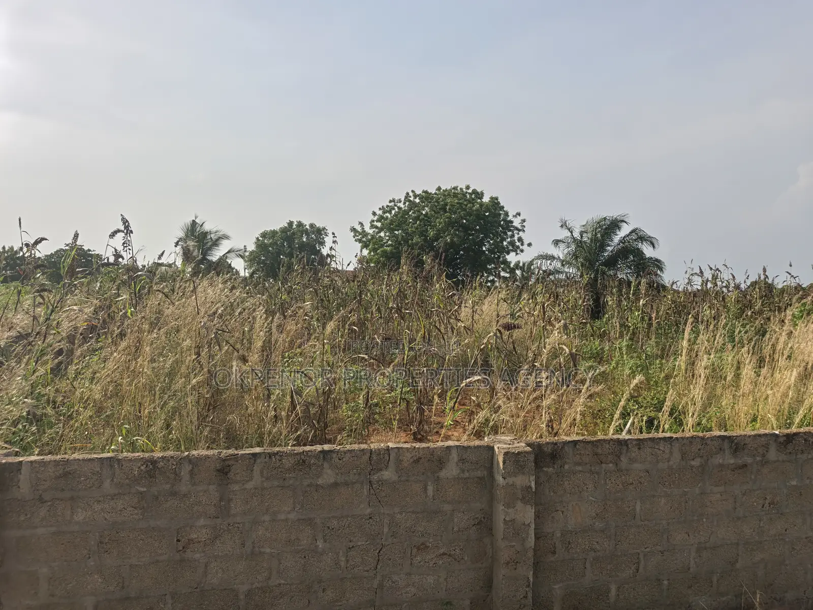 3plots Fence for Sale at Ada