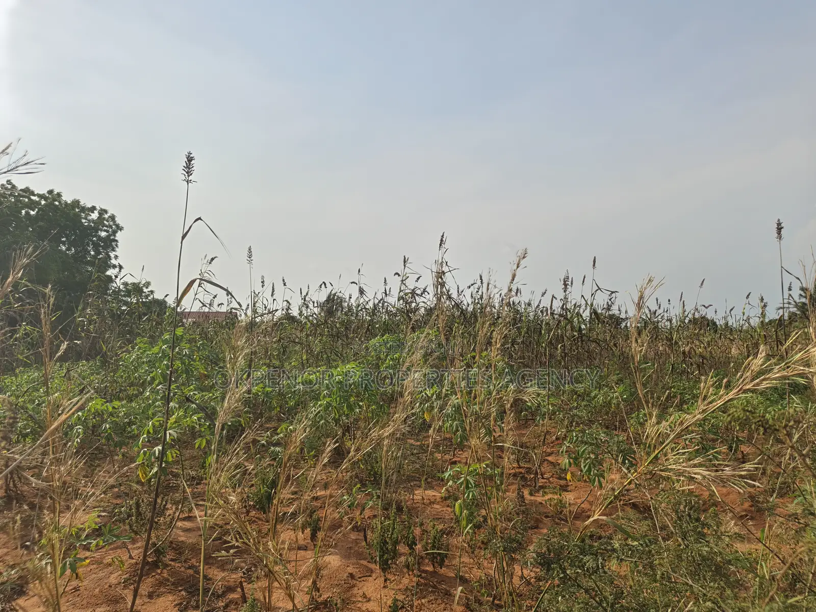 3plots Fence for Sale at Ada