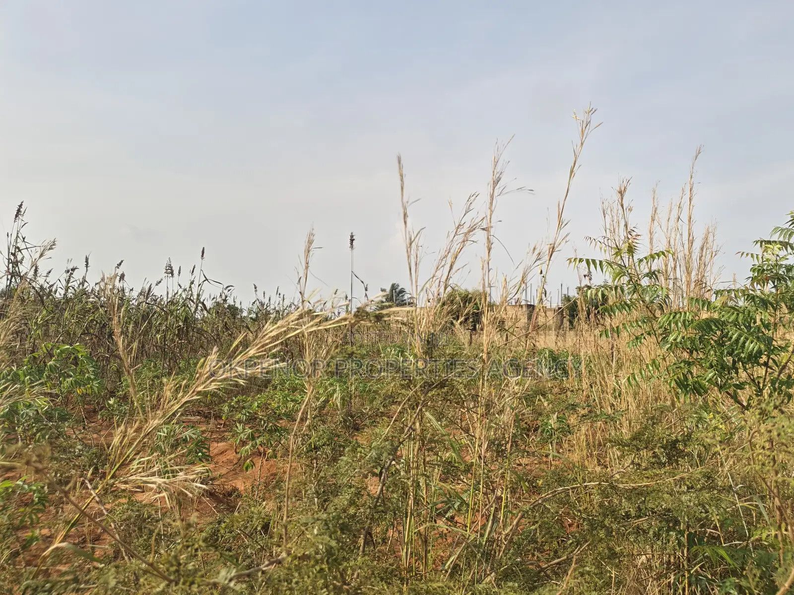 3plots Fence for Sale at Ada
