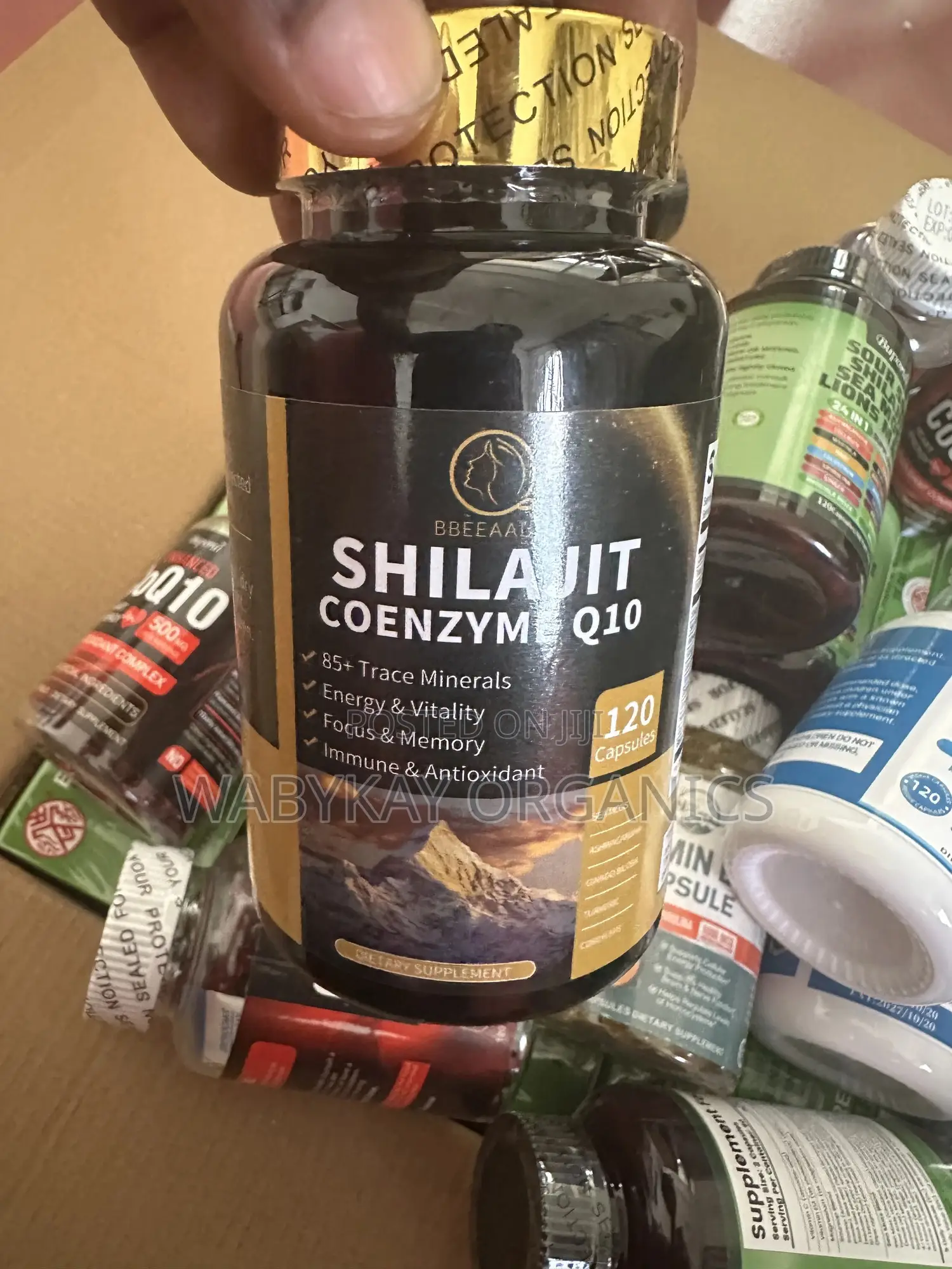 Shilajit and Coenzymes Q10