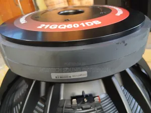 Double Magnet Naked Speaker 21 Inches )