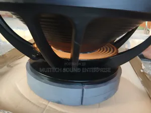 Double Magnet Naked Speaker 21 Inches )