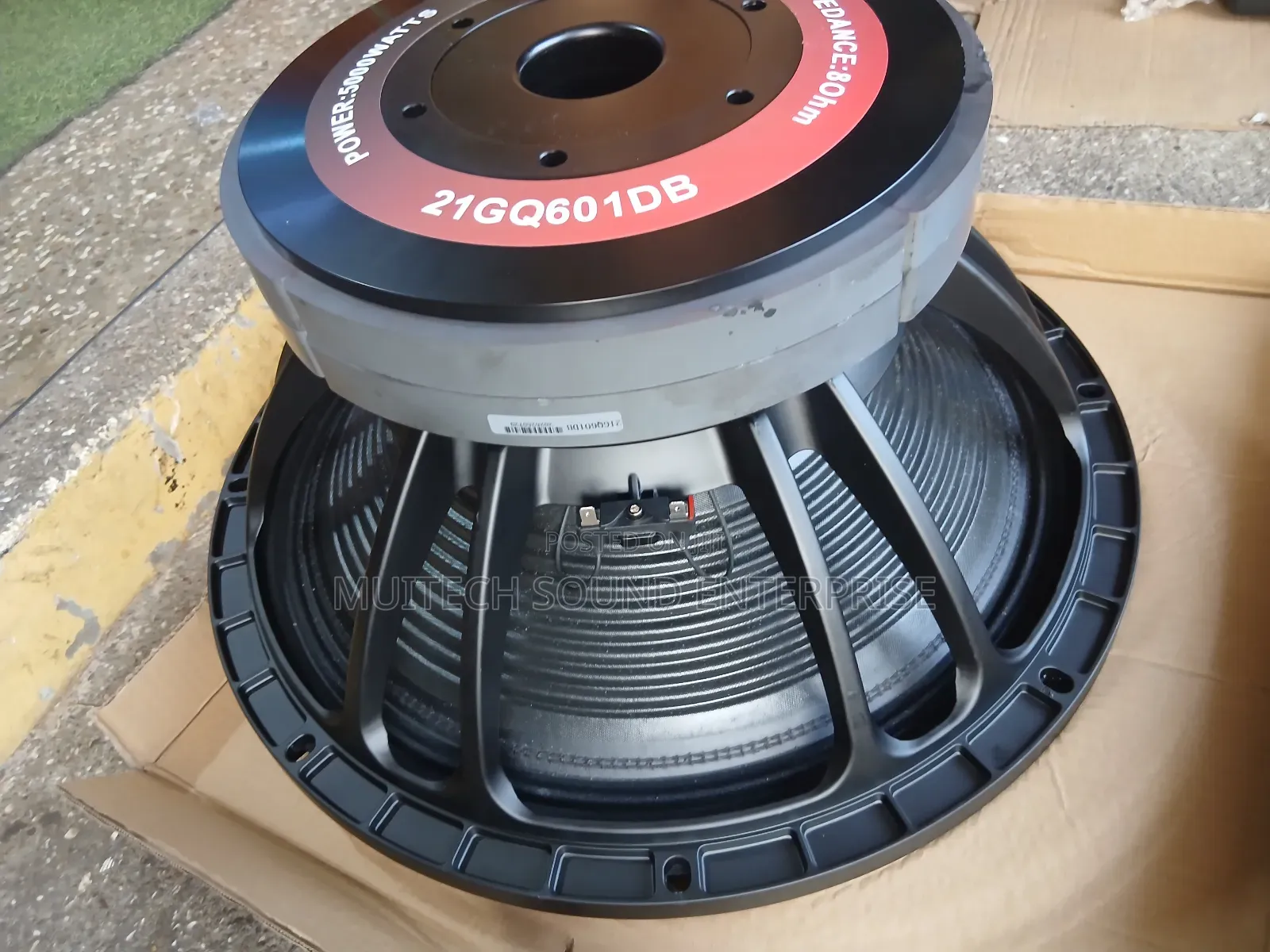 Double Magnet Naked Speaker 21 Inches )