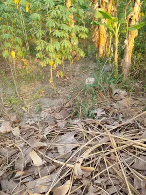 Half Plot at Jachie Pramso