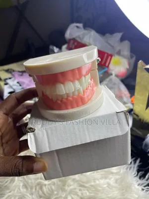 Typodont Teeth/Teeth Mold