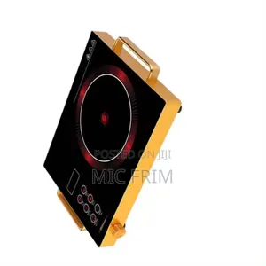 Digital Electric Stove