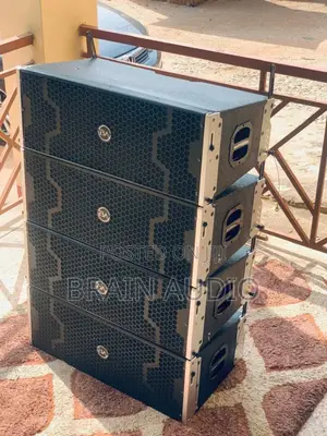 Brain Audio B11 10inch Line Array Speaker ( The Price Is For The 4pecs