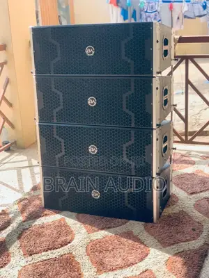 Brain Audio B11 10inch Line Array Speaker ( The Price Is For The 4pecs