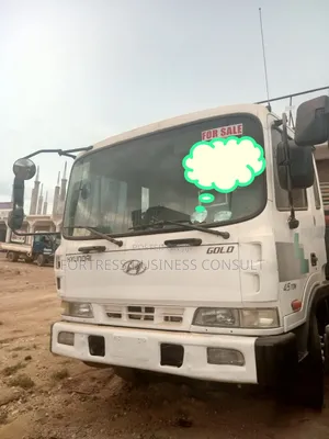 Brand New Hyundai Gold 4.5 Ton Truck for Sale - Unregistered