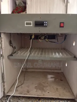 Automatic Egg Incubator