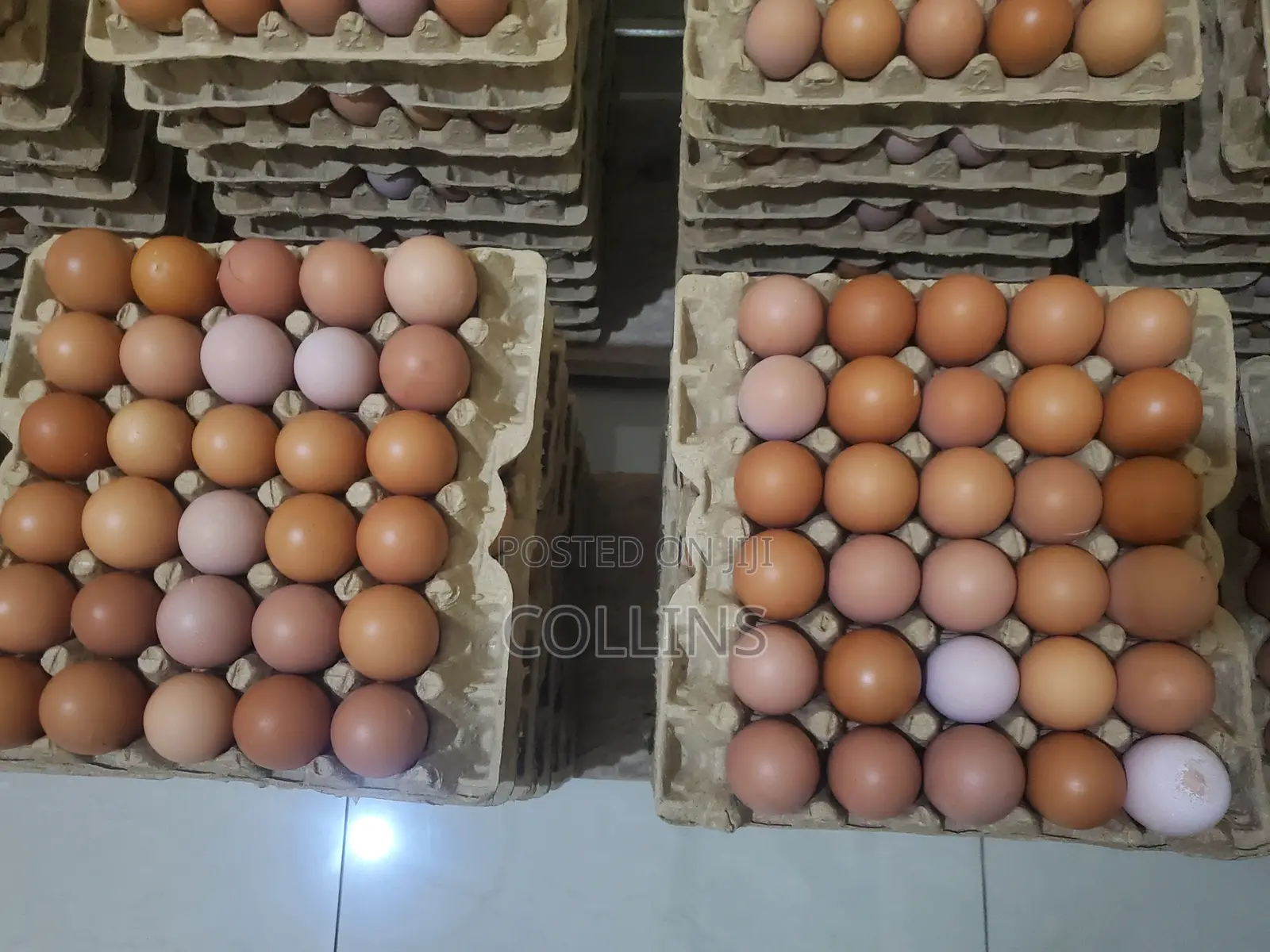 Eggs Available for Sale